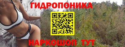 стафф Бугуруслан