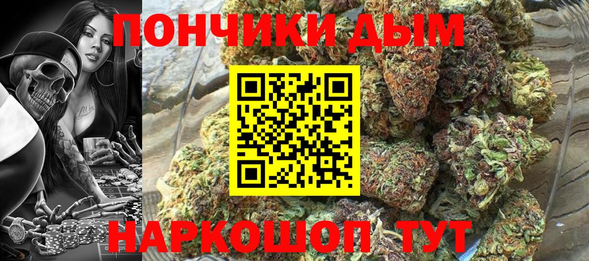 Канабис сатива  МАРИХУАНА план  Марихуана сатива  Каннабис сатива  Вход с VPN  Протвино 